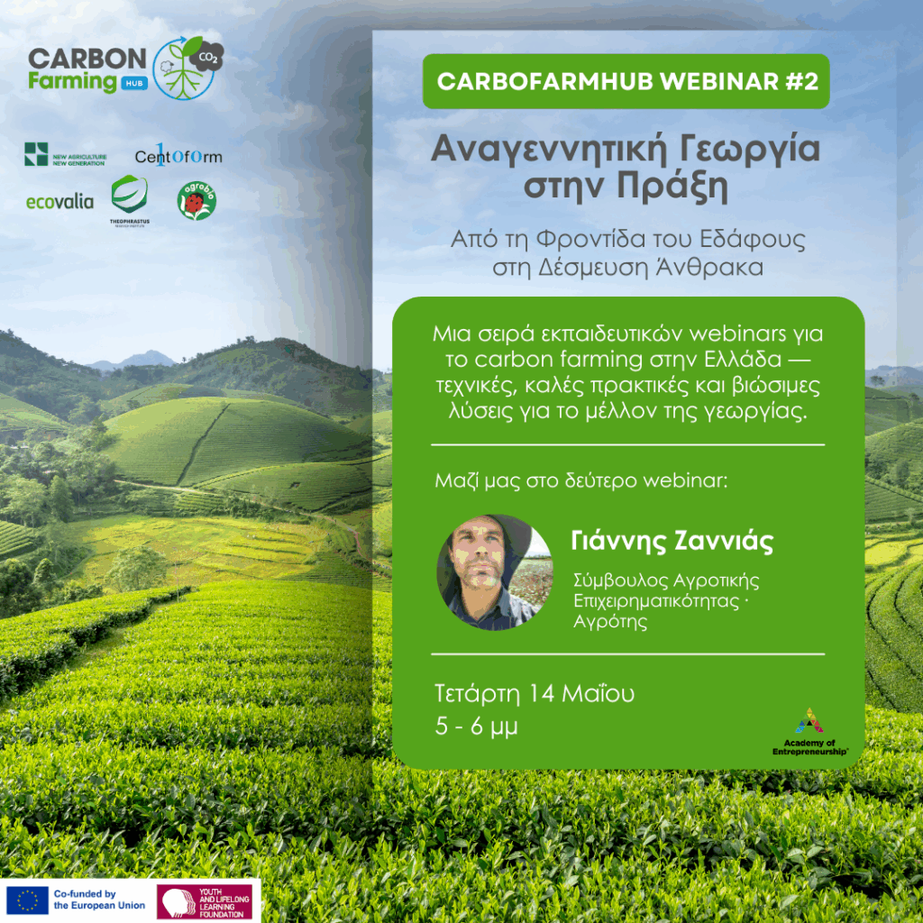 Image Webinar